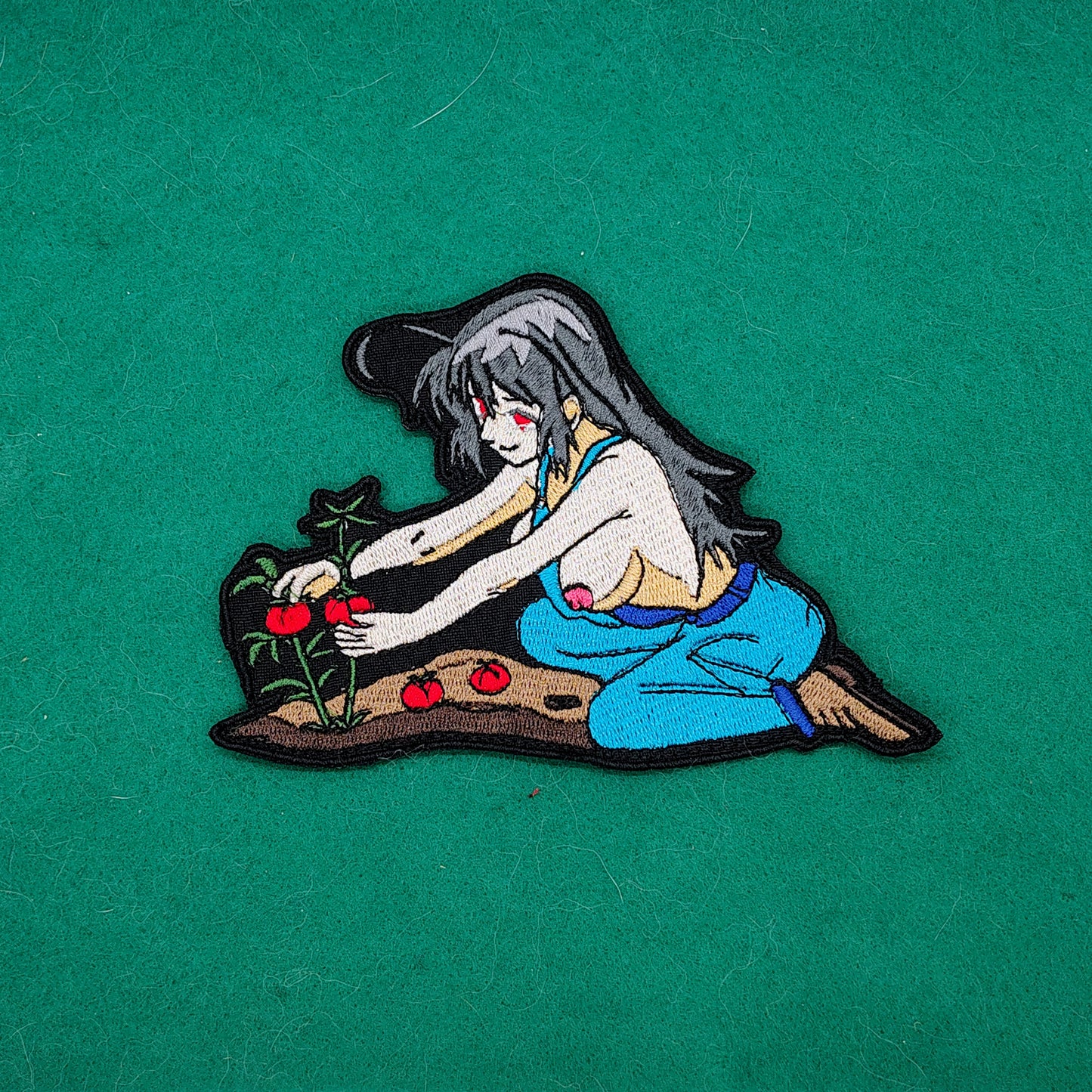 Picking tomatoes 2026