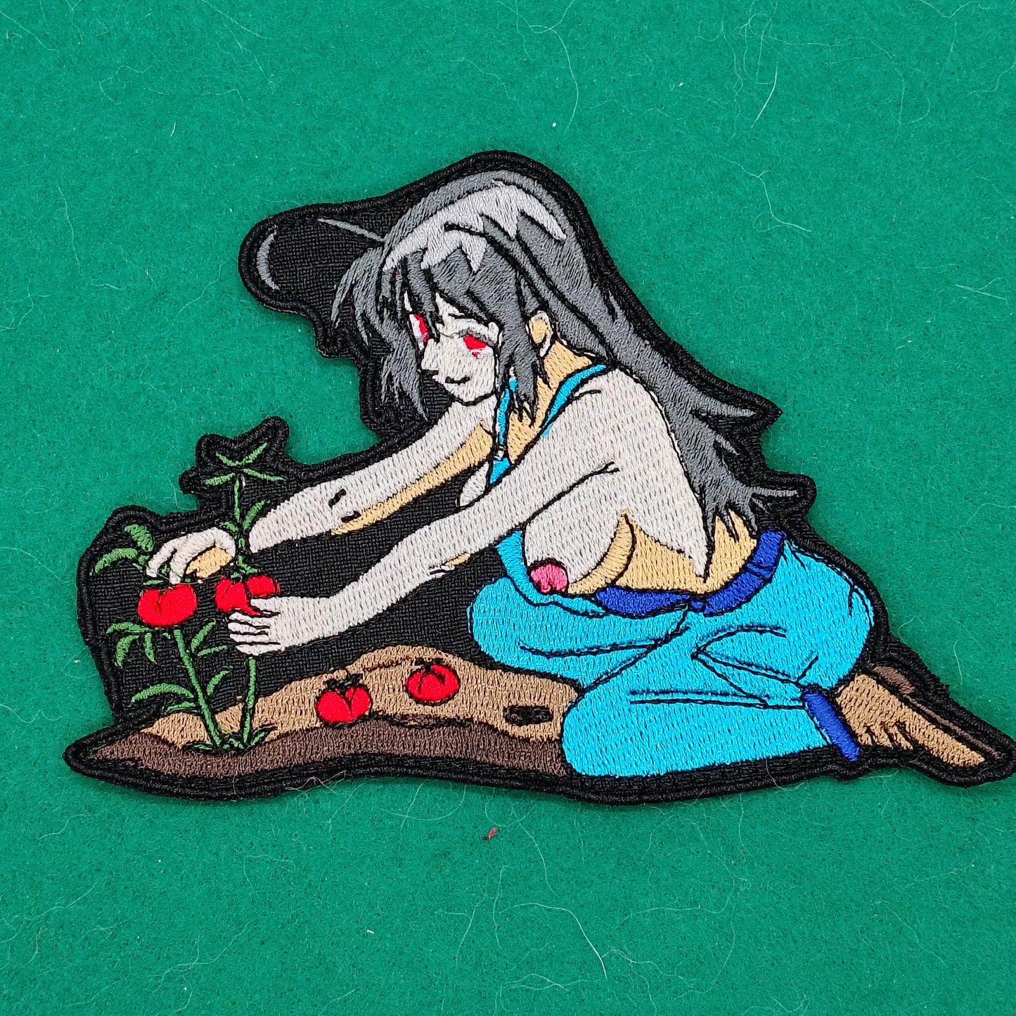 Picking tomatoes 2026