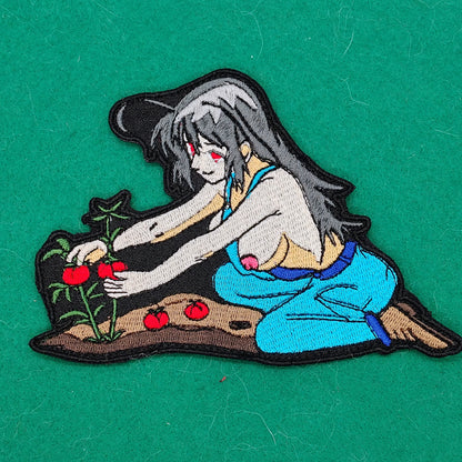 Picking tomatoes 2026