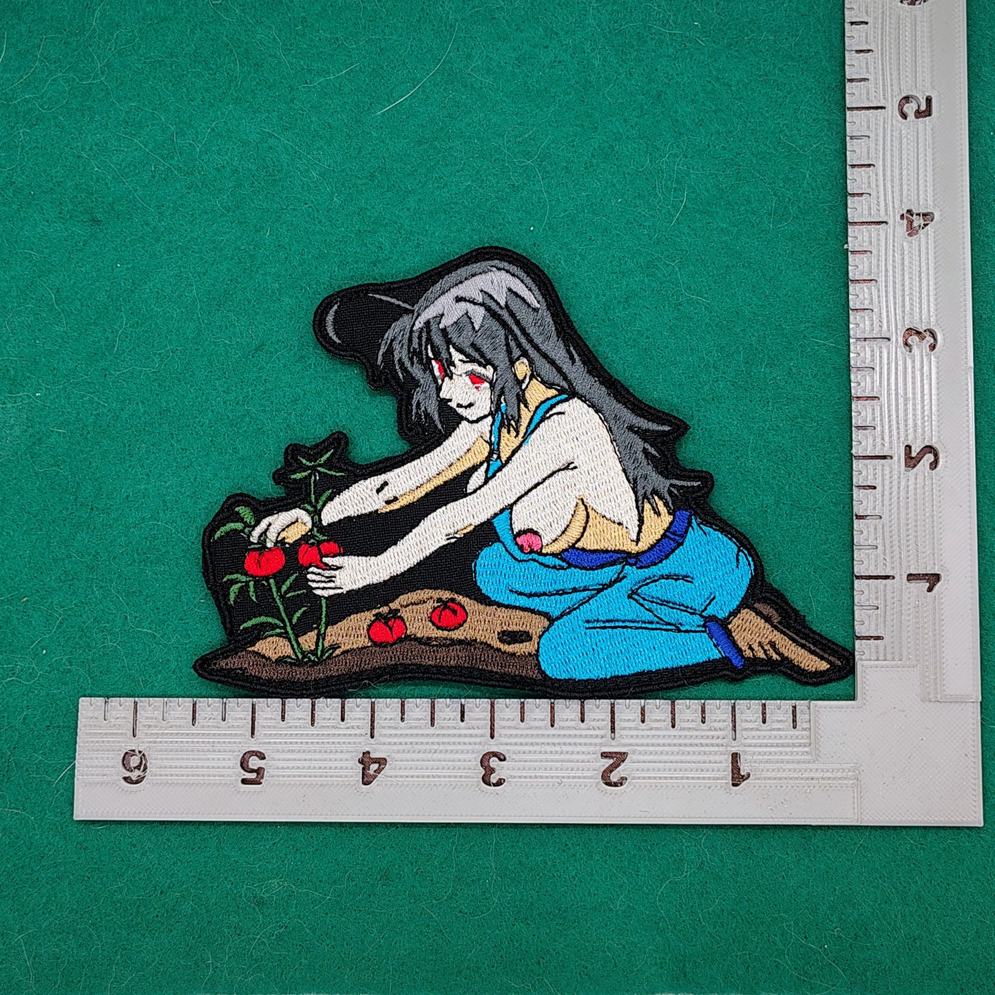 Picking tomatoes 2026